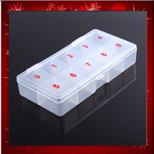 LOYIQN 10 Compartments Resin Storage Box Bead Organizer Display Containers Case B0272