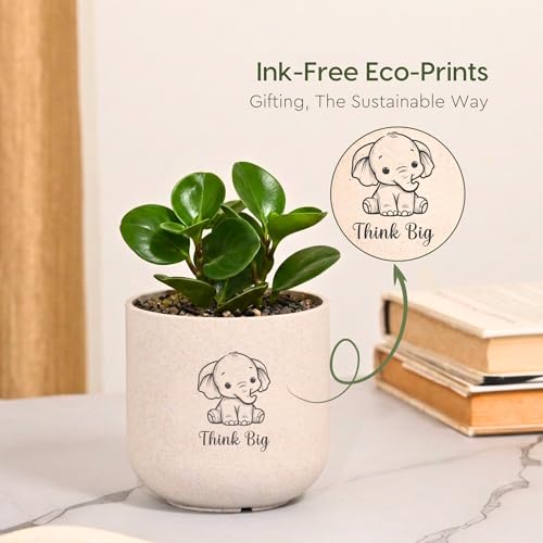 Image of Eha Earth-Friendly Printed Small Terrapod Planters for Home Decor | 3.5 Inch, Pack of 3 | Plant Gifts Made with Rice Husk Biocomposite | Flower Pot for Living Room| Sand Castle