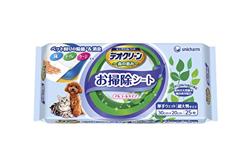 デオクリーン 除菌お掃除ウェットティッシュ 大判 25枚入