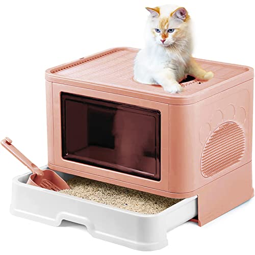Curver Petlife Katzentoilette - Die 15 Besten Produkte Im Vergleich