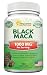 Pure Black Maca Root - 180 Capsules - Max Strength 1000mg Per Serving - Gelatinized Maca Root Extract Supplement from Peru - Natural Pills to Support Reproductive Health & Energy - Non-GMO