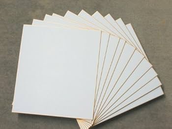 Amazon | 色紙・大色紙 和画仙ドーサ引/10枚(京都府知事指定伝統工芸品