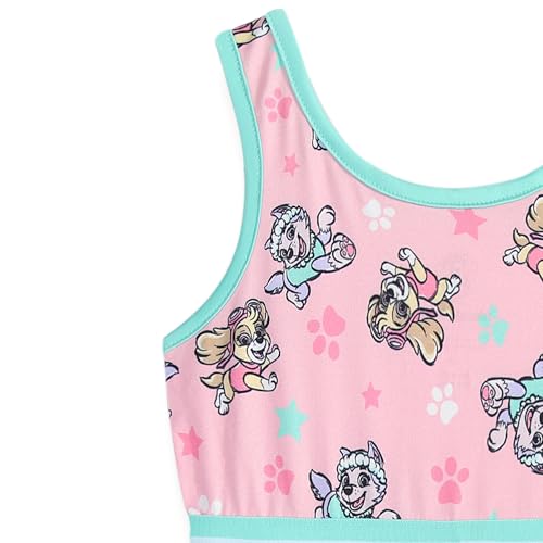 Paw Patrol Nickelodeon Girls Sleeveless Dress for Toddler and Big Kids2