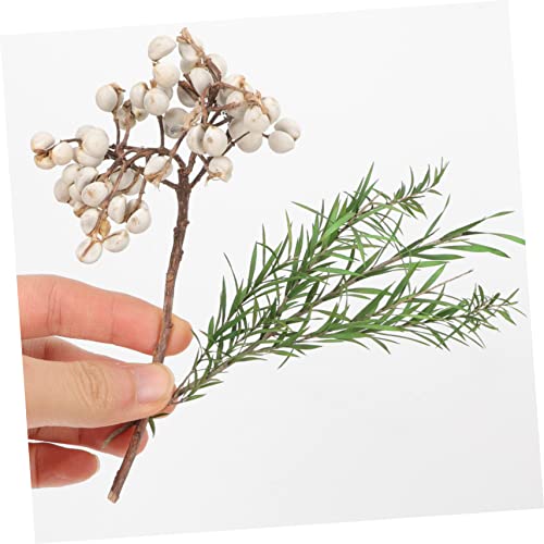 Flores Secas Naturales para Manualidades y Decoración DIY miniatura 2