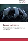  Sangre en la tierra: Una mirada cr?-tica a la usurpaci?3n de tierras y propiedad huilliche en el sur de Chile (siglo XIX - siglo XX) by Miguel ??ngel Cea Reyes (2014-08-12)