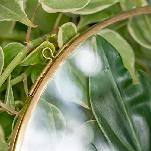 NCYP 8" Hanging Herbarium Frame Gold, Brass Round Glass Frame for Pressed Dried Flowers, Double Glass floating Frame Display Plants Specimen, Glass Frame Only - Thumbnail 6