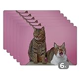 Dimension: Les sets de table sont disponibles au format le plus utilisé : 45x30 cm.