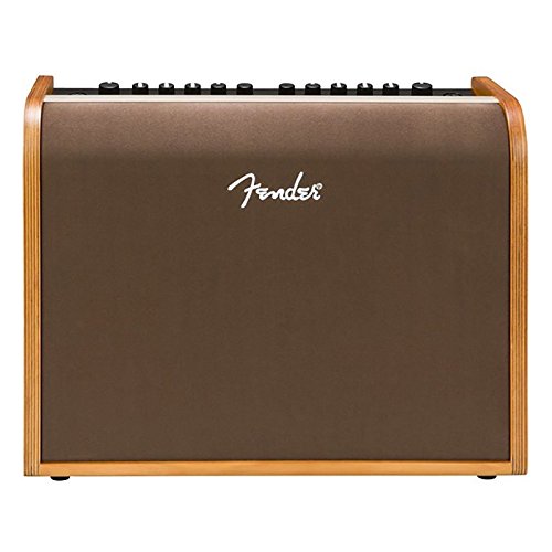 Fender Acoustic 100 Guitar Amp