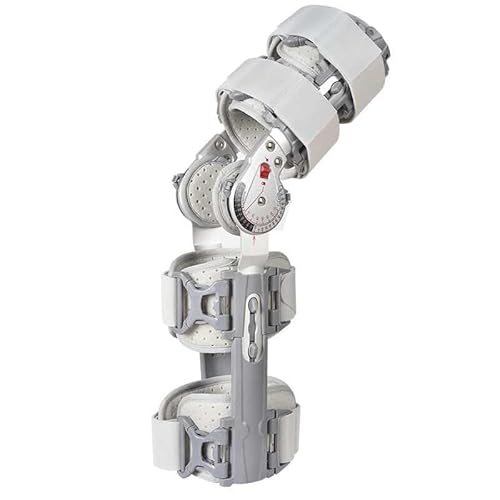 SFKLYU qWtj[u[XA߉\ȏpGŒAp̉񕜂̂߂̃TChX^rCU[ƃqWtpj[u[X