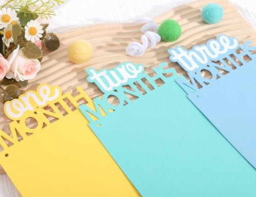 Image of Rainbow Girls 1st Birthday Decorations - Colorful 1 To 12 Months Photo Banner,Newborn Monthly Milestone Photos,Baby Girl First Year Rainbow Themed Photo Banner,Newborn Sweet One Birthday Banner