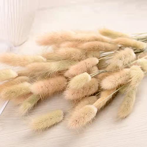 CHUANGOU 30 Pezzi Mazzi di Fiori Secchi di Code di...