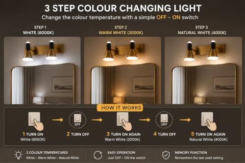 Image of FILLISKA 3 in 1 Double Wall spot /Picture /Display /Mirror Light with Adjustable Head and Colour Changing Function (12 Watt Black & Gold-747)