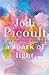 A Spark of Light: A Novel