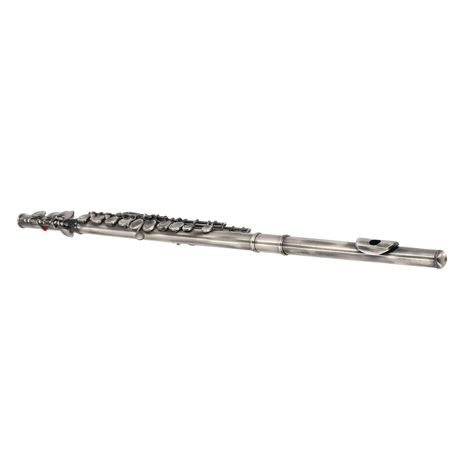 Eujgoov Flauta C de 16 Teclas, Material de Cuproníquel, Ideal para Estudiantes y Principiantes, Excelente Rendimiento para Práctica y Grabación Musical (Azul verdoso antiguo)