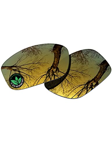 Image of Raydi Polycarbonate Replacement Lenses for Arnette Hot Shot AN4182 Rectangular Sunglasses