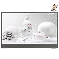 Tragbarer Monitor, 13,3 Zoll / 15,6 Zoll 1920 × 1080 HD-HDR-Bildschirm, Tragbarer USB-Laptop-Monitor, mit Typ-C-Kabel für Den Gleichen Bildschirm, Plug-and-Play, Zum Spielen, Ansehen von(13,3 Zoll)