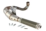 sportauspuff billiger motorrad  JL Exhausts Rennauspuff SIP Performance Sparewheel für Vespa 125 GT/GTR/TS/150 GL/Sprint/V/PX80-150/PE/Lusso/Cosa 1 Edelstahl, Dämpfer: Carbon -Kevlar, lefthand, Ersatzrad passt weiterhin