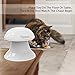 DADYPET Cat Laser Toy, 2 in 1 Automatic Non-Handheld Cat Chaser Toy and Interactive Feather Toy, Auto Rotating Light Cat Chaser Toy for Cats and Dogs