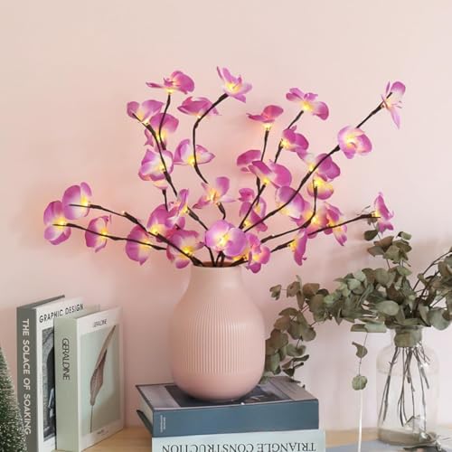Image of Ulalaza 70cm 2 Branches 40 LED Bulbs Twig Lamp Battery Operated LED Lighted Willow Branches Vase Fillers Use for Christmas Home Party Decoration Indoor Outdoor