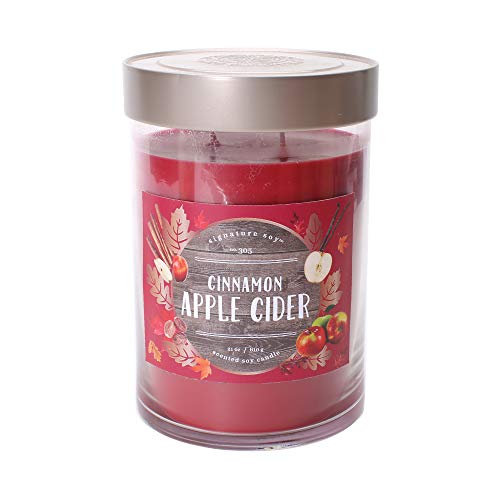 Signature Soy Cinnamon Apple Cider XL Jar, 21 oz. Candle