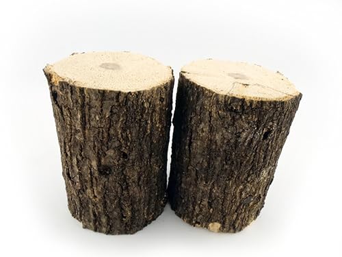 産卵木 Mサイズ 2本セット SR07|プロ・ブリーダー向け クワガタ・カブトムシ繁殖用 ホダ木 クヌギ・コナラ混載材