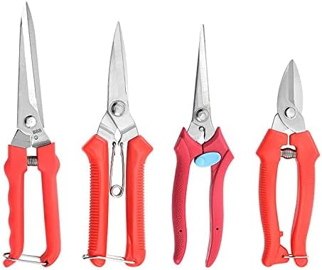 ソフトボール 増淵真理子 ピッチングDVD 増淵まり子ピッチングメソッドDVD