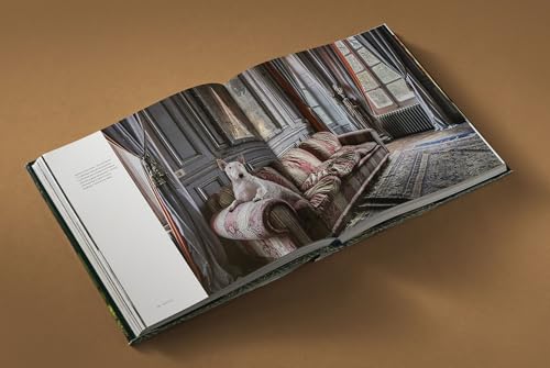 Country Life's Book of Dogs: From Countryside to Hearthside, At Home with Our Four-legged Friends