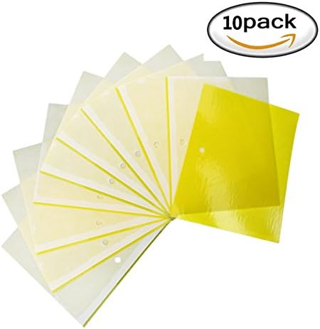 TopTraps Dual-Sided Sticky Traps for Flying Plant Insect Like Fungus Gnats, Aphids, Whiteflies, Leafminers - (6x8 Inches, Twist Ties Included) (10, Yellow)