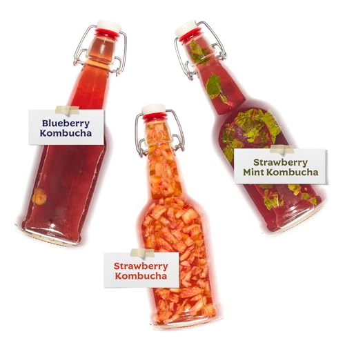 Kit de garrafas Kombucha – Inclui 7 garrafas de tampa de vidro + funil de silicone compacto dobrável