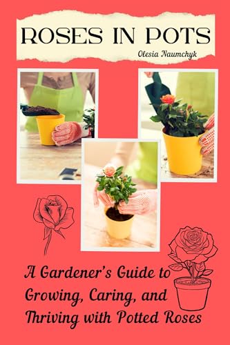 Roses in Pots: A Gardener’s Guide to Growing, Caring, and Thriving with Potted Roses