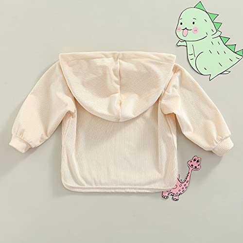 Amiblvowa Toddler Baby Girl Boy Pullover Hoodies Solid Color Oversized Rib Knit Hooded Sweatshirts Fall Winter Tops (Beige Hoodie, 2-3T) #TOP5