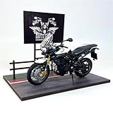 le mode moto de simulation est plein de personnalité, tellement cool. Originalité nouvelle, beau savoir-faire. Le modèle de moto est un décor sur le bureau pour le bureau/la maison.