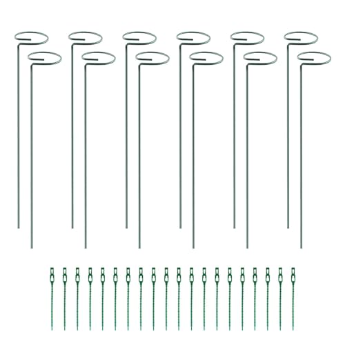 Estacas de soporte de gladiolo: estacas de soporte para flores, bridas incluidas, estacas de flores de jardín para apoyar tallos de plantas