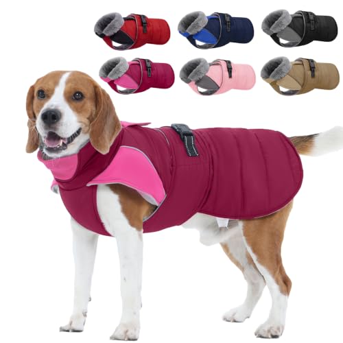 Nanaki Waterproof Snowsuit