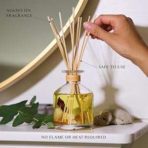 Benevolence LA Reed Diffuser, Orange, Cedarwood & Clove Scent Diffuser for Home with Oil Diffuser Sticks | Sun Kissed Collection Diffusers for Home Benevolence LA Reed Diffuser Orange Cedarwood Clove Scent Diffuser for Home with Oil Diffuser Sticks Sun Kissed Collection Diffusers for Home