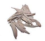 White Sage (Ceremonial), USDA Certified Organic, 2 Oz. Bag