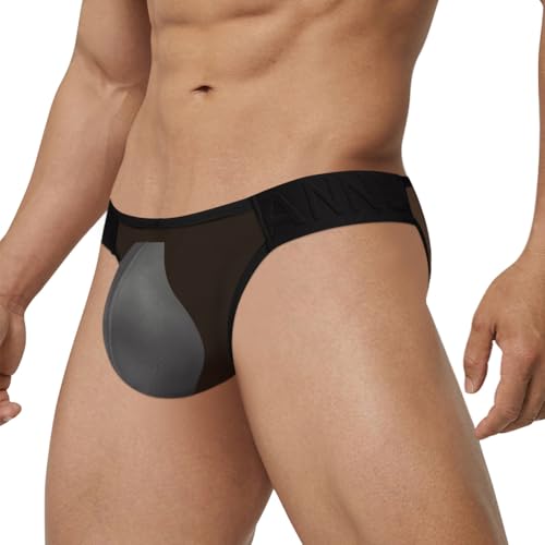 Mens Briefs Underwear Breathable Sexy Briefs for Men See Through Briefs2