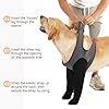 Dog Socks to Prevent Licking Paws ，Breathable Leg Sleeve to Stop Licking and Biting,Firm and Secure Protect Wounds Dog Recovery Sleeve Socks (XLarge-Gray)
