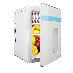 Mini Koelkast 10 Liter / 12 Can AC/DC Koelkast Auto Koelkast Draagbare Thermo-Elektrische Koeler En Stoofje Voor Skincare, Voedsel, Medicijnen, Auto, Huis