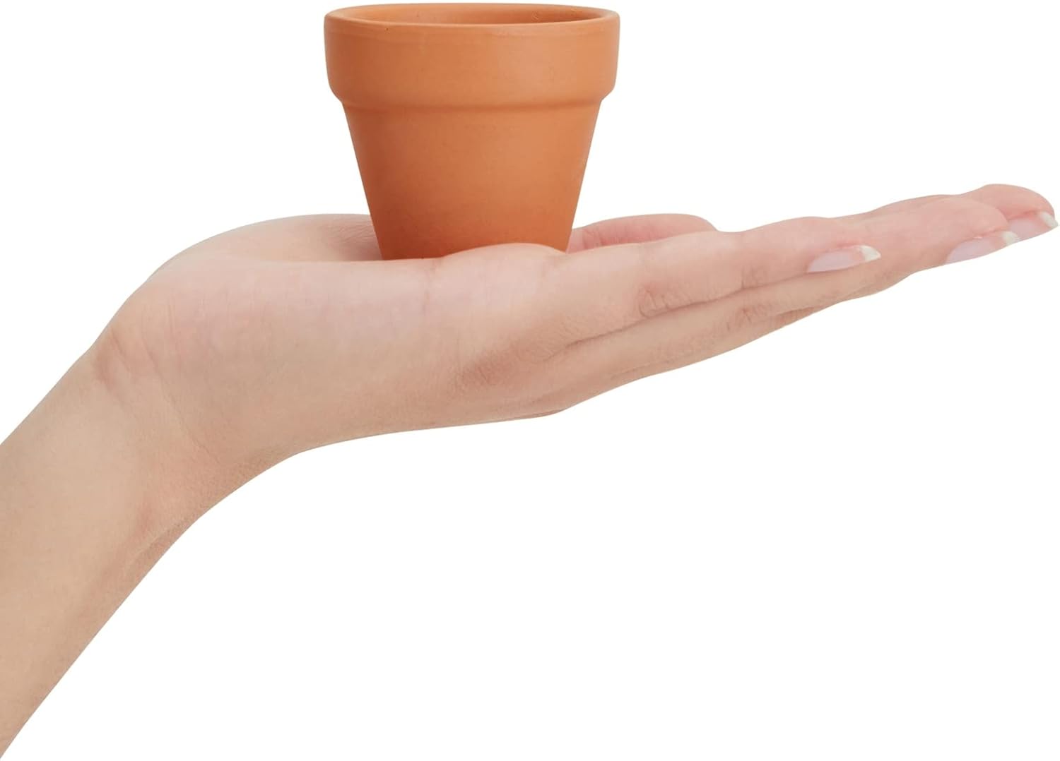 Juvale 10-Pack 2-Inch Mini Terracotta Pots with Drainage Holes for Succulents, Plants, Herbs, and Flowers, Small Clay Pot Planters for Indoor and Outdoor Gardening, Crafts