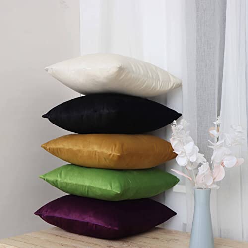 Pack Of 2 Velvet Decorative Throw Pillow Covers 18X18 Inches Soft Solid Square Green Pillow Covers For Couch Sofa Living Room Home Decor 45 X 45 Cm #TOP3