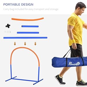 Pawhut dog agility training equipment 4 piece dog agility course for old dogs with carrying bag outdoor use blue   cucciolini doodles