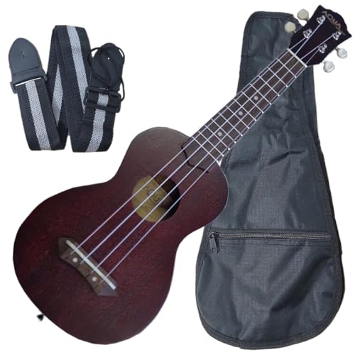 ENXgbvt ANA {i\vmEN P[Xt AQUA lele Soprano Ukulele AQ-1