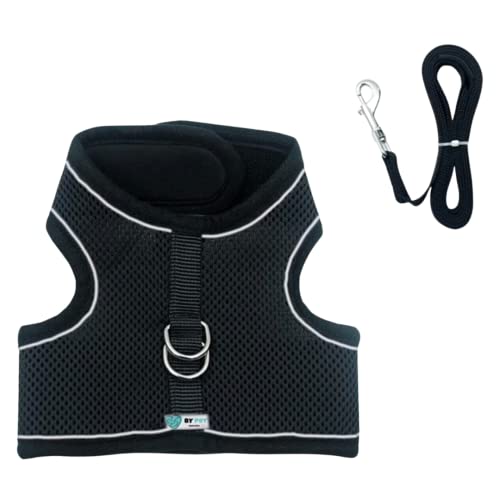 Ensemble Colliers + Laisse Respirants pour Chat de Nouvelle génération New-Generation-Cat-Leash (Rouge, M) Cover