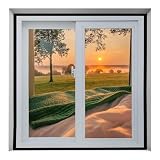 Finestra con zanzariera 80x180cm Rete Anti-Insetti Adesiva Senza Foratura Anti-Mosche Facile da Aprire e Installare Zanzariera Universale per Finestre,nero