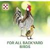 Purina | Flock Raiser Crumbles Poultry Feed | 50 Pound (50 LB) Bag