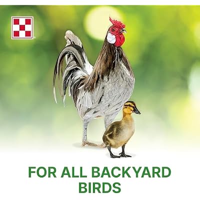 Purina | Flock Raiser Crumbles Poultry Feed | 50 Pound (50 LB) Bag