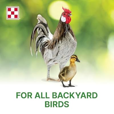 Purina | Flock Raiser Crumbles Poultry Feed | 50 Pound (50 LB) Bag