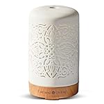 Earnest Living Essential Oil Diffuser White Ceramic Diffuser 100 ml Timers Night Lights and Auto Off Function Home Office Humidifier Aromatherapy Diffusers for Essential Oils