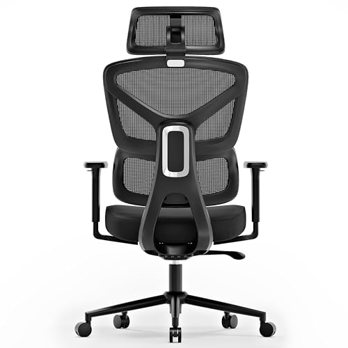 Ergonomic Office Chair, High Back Mesh Desk Chair